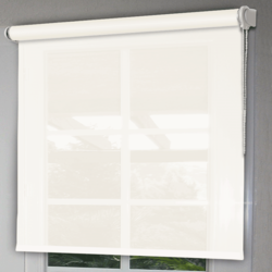 screen
